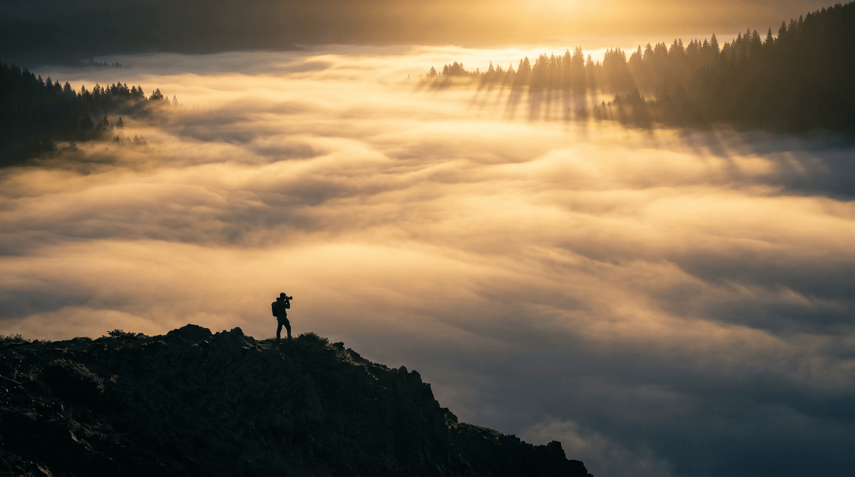 A cinematic, ultra-wide-angle landscape photograph of a deep Pacific Northwest valley completely filled with thick, glowing radiation fog at the first light of sunrise.