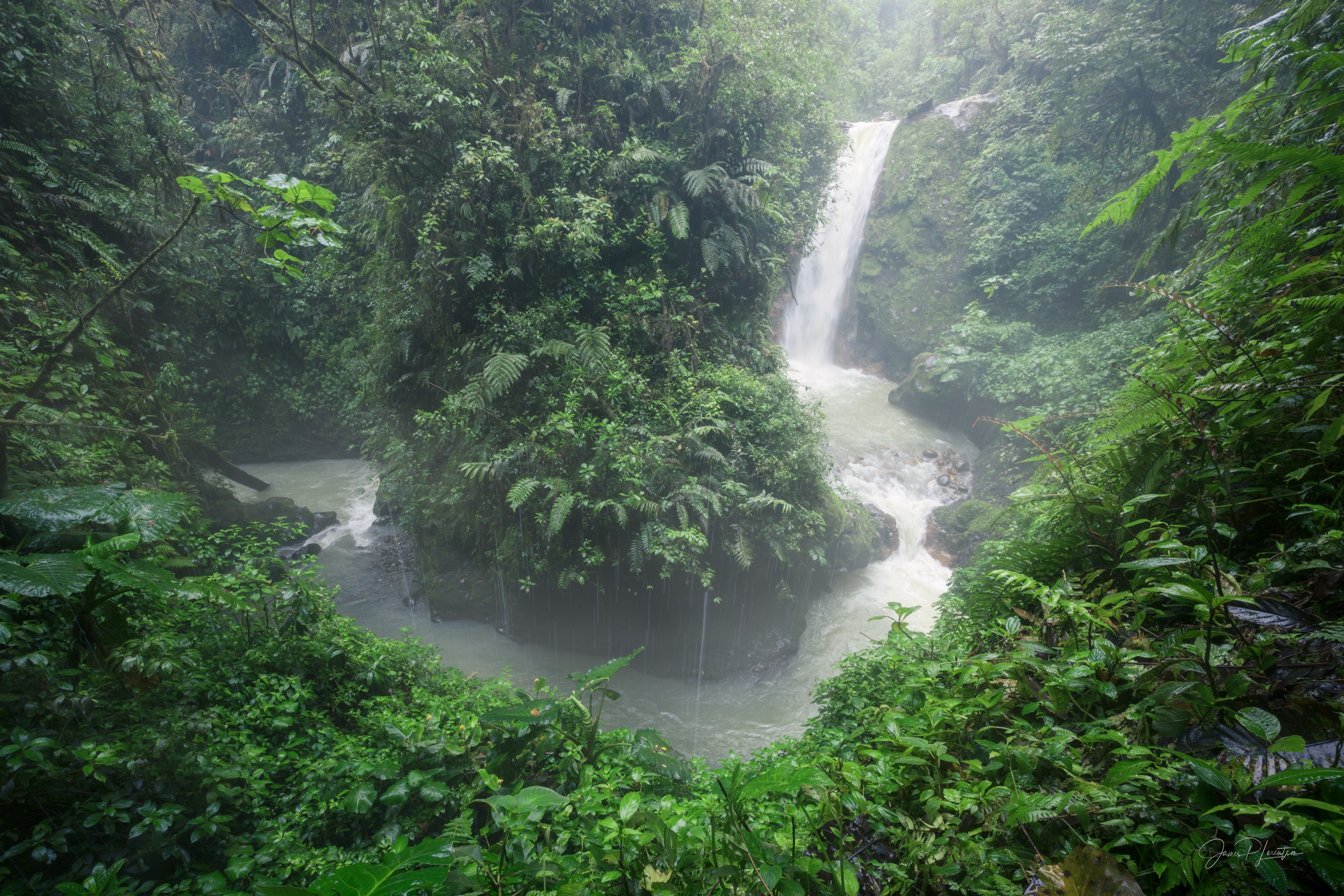 Mist drifting through dense cloud-forest jungle around a waterfall and green pool in Costa Rica