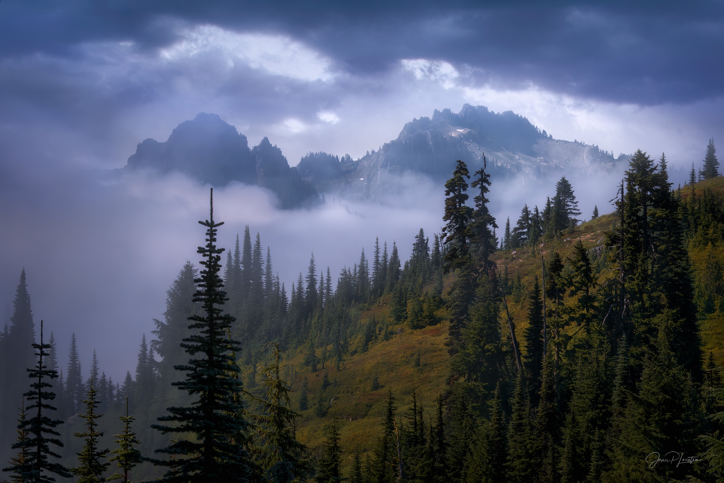 Fog filling a subalpine valley below jagged peaks, with conifers emerging from the cloud layer