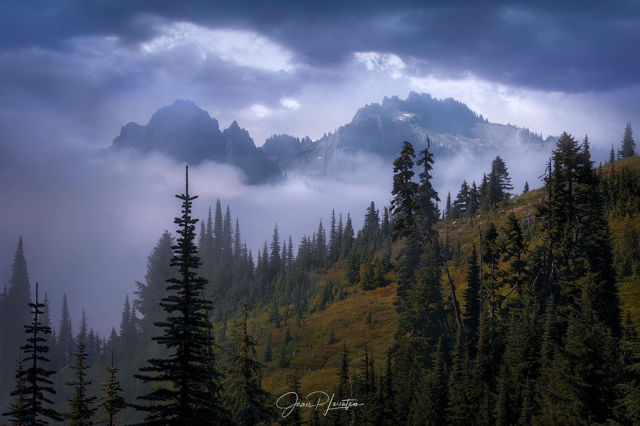 Fog photography 3