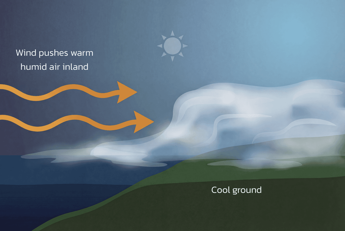 Advection fog formation diagram