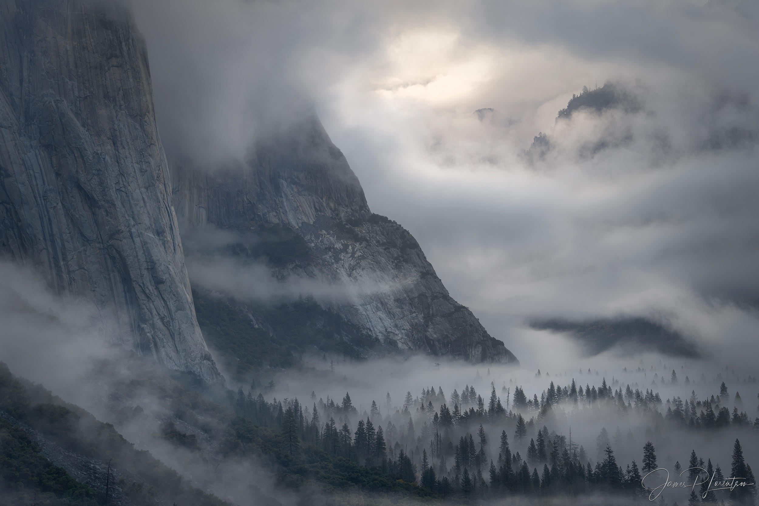 Yosemite Valley Fog Spotlight hero image
