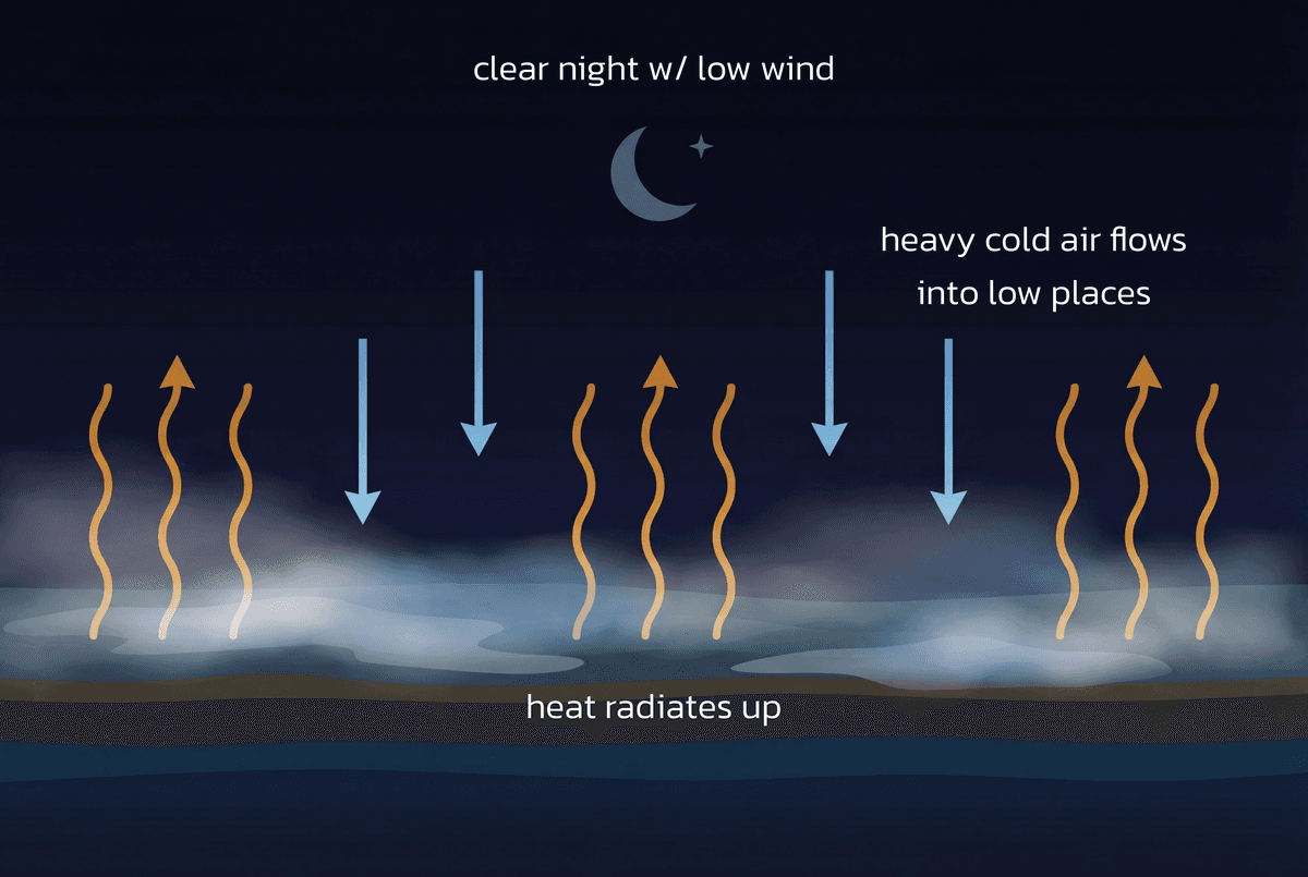 Radiation fog formation diagram